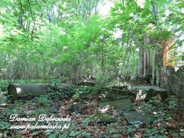 Widok ruin cmentarza